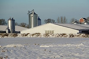 DSC02978
