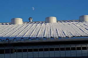 DSC03018