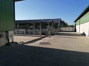 IMG 20190724 080806