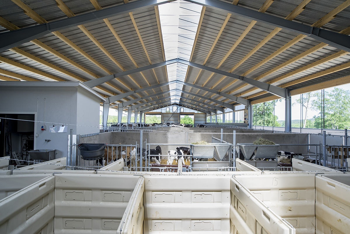 Cattle house, Ljung Sweden | BYGGLANT