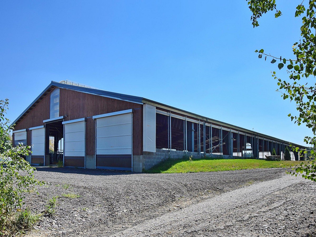 Zimoviště pro skot